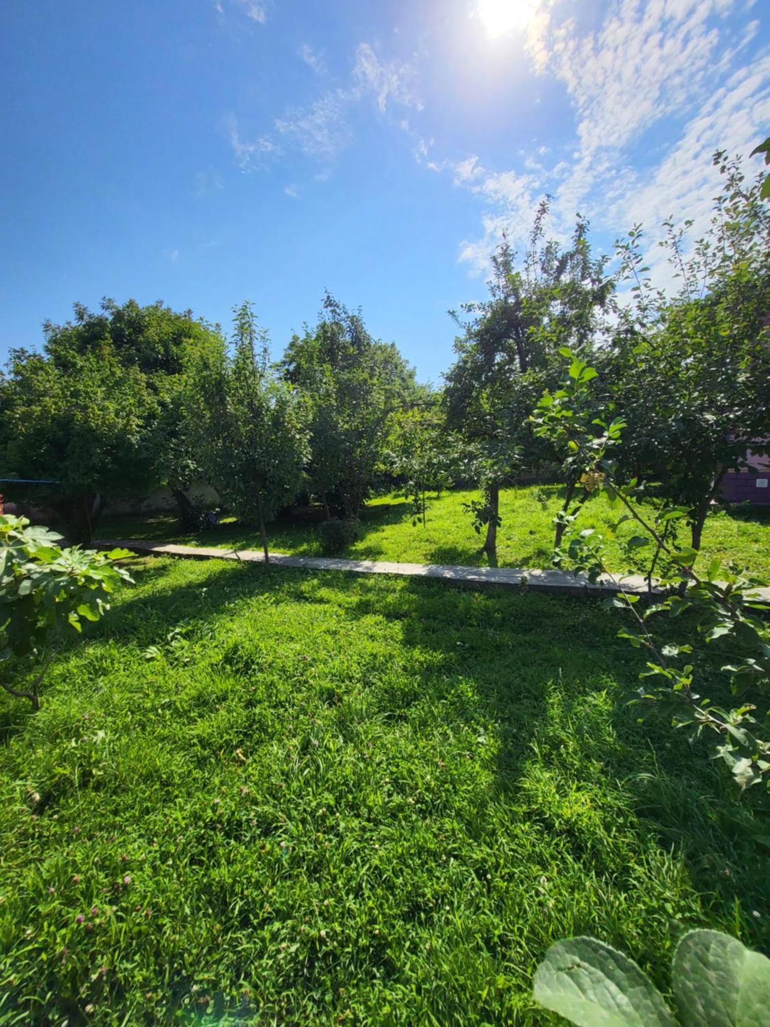 Gabala Garden Hostel Bilik gambar